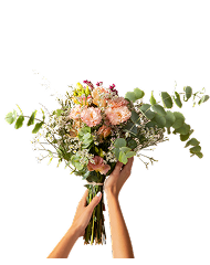 Hand Bouquets